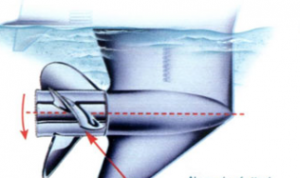 Kayak Trolling Motor Basics