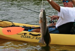 Lightweight Kayak Paddle