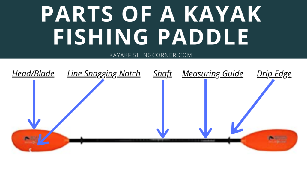 Kayak Paddle Holder - The #1 [*Safest*] Way to Hold Kayak Paddles